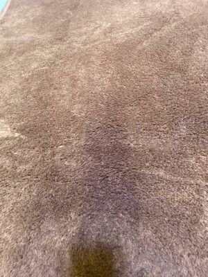 Brown carpet 160 width x 230 length